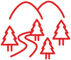 Forest management