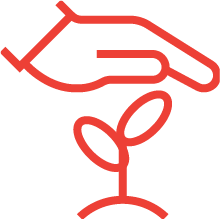 icon3