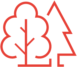 <b>Carbon Credits</b>